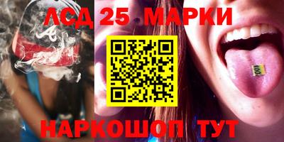 индика Аргун