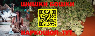 индика Аргун