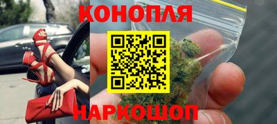 индика Аргун