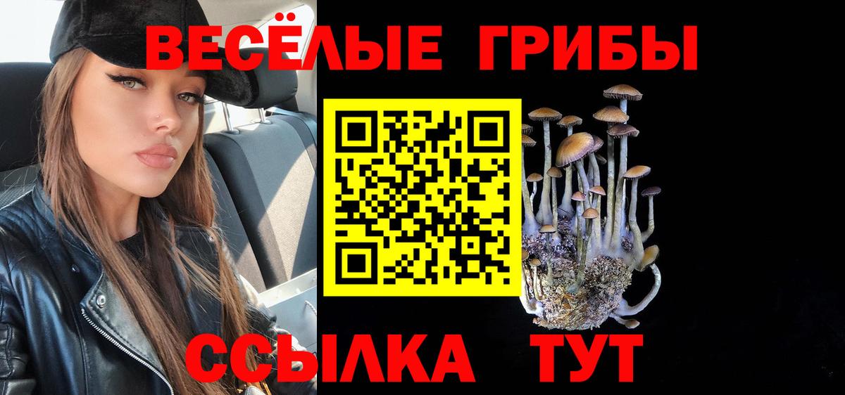 Псилоцибиновые грибы мухоморы Балашиха
